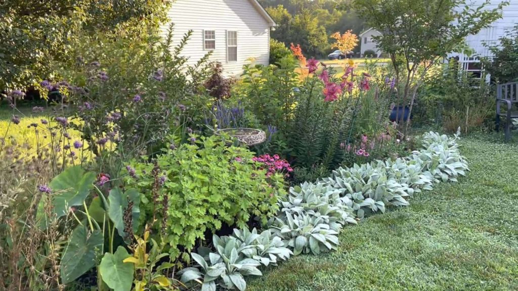 Irish Cottage Garden