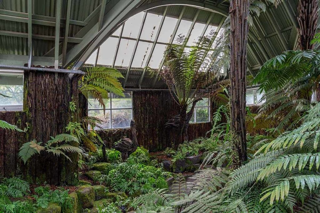 Moss and Fern Garden