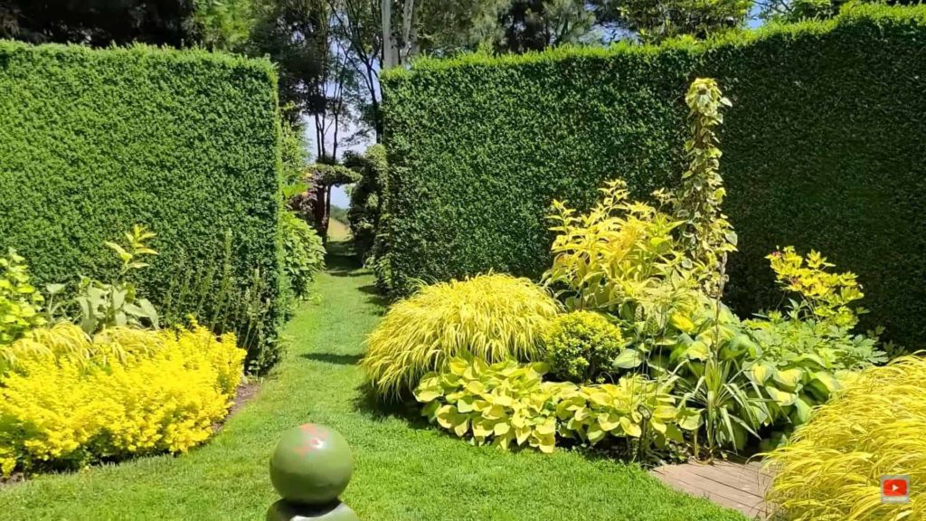 Secret Garden
