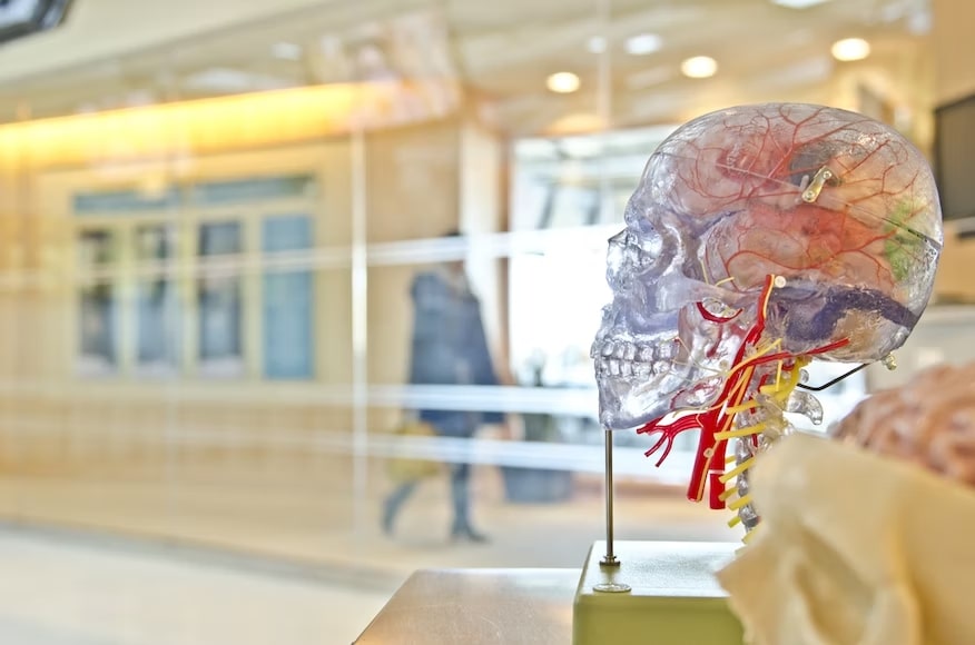 The medical curricula in Ireland offers comprehensive integrated courses