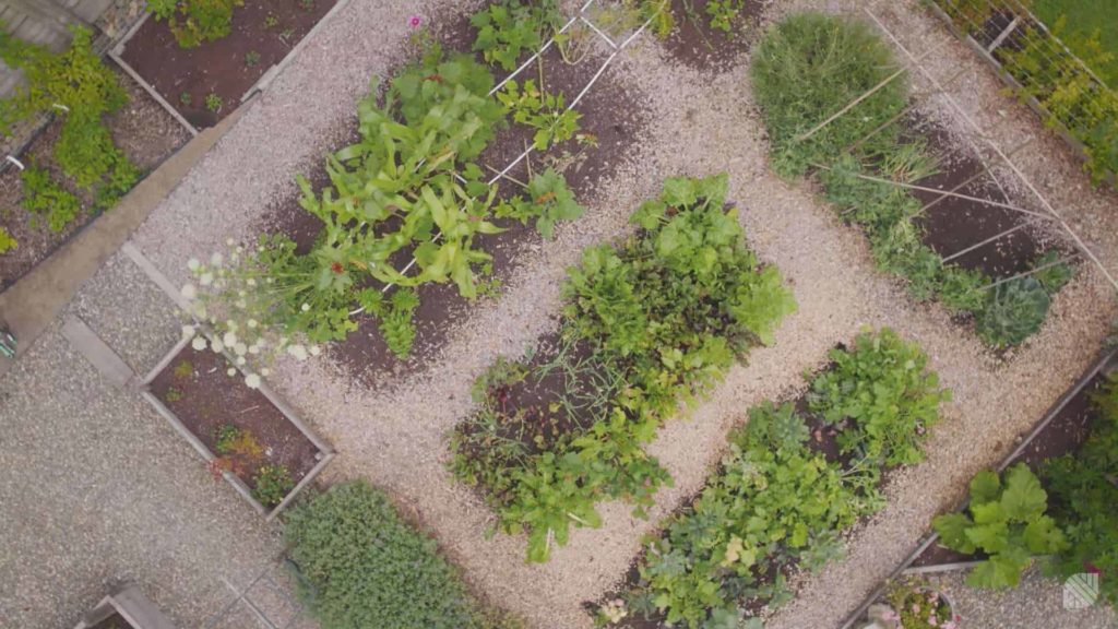 Vegetable and Herb Garden