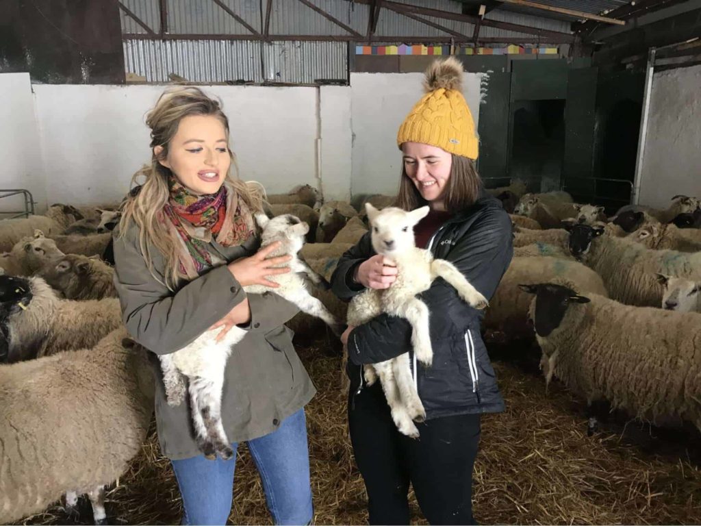 Visit Causey Farm