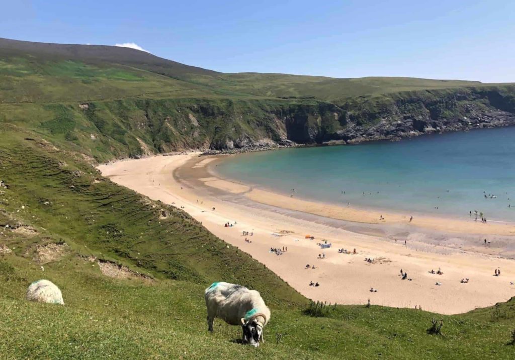 Boortree Touring Rossnowlagh