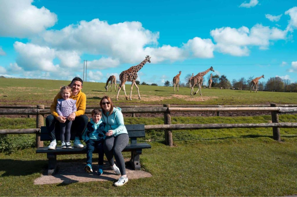 Explore animal diversity at Fota Wildlife Park