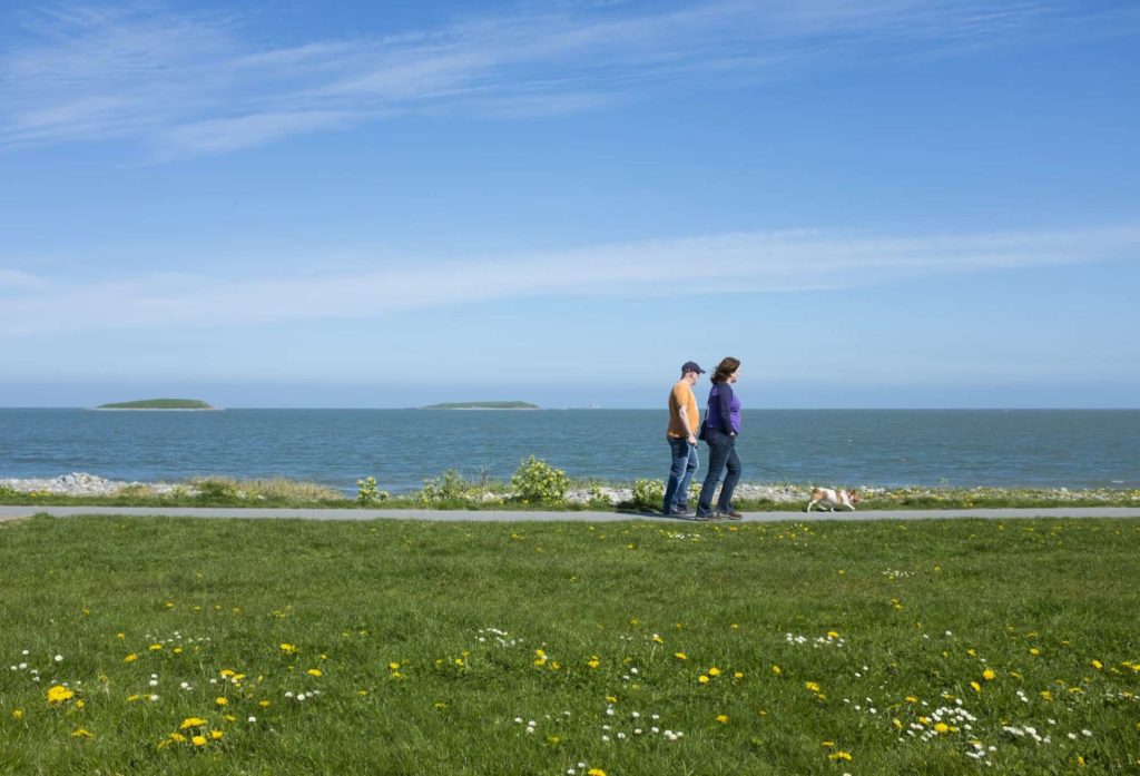 Skerries