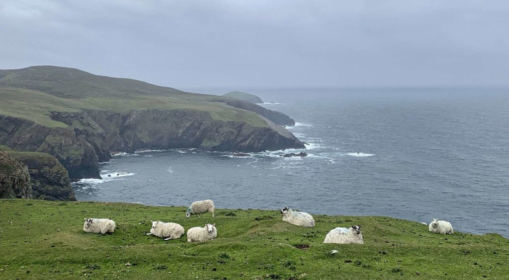 Arranmore Cliffs