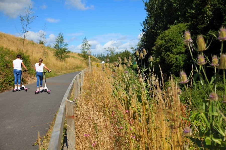 Breathe in the Fresh Air of Waterford Nature Park