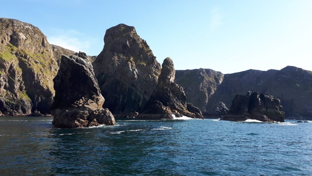 Embark on Sea Safaris