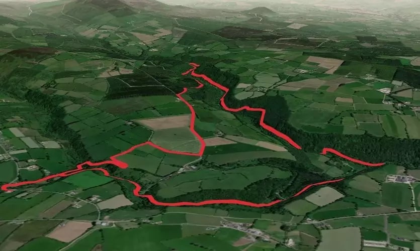 Embark on an Adventure Through Glenshelane Forest Trails
