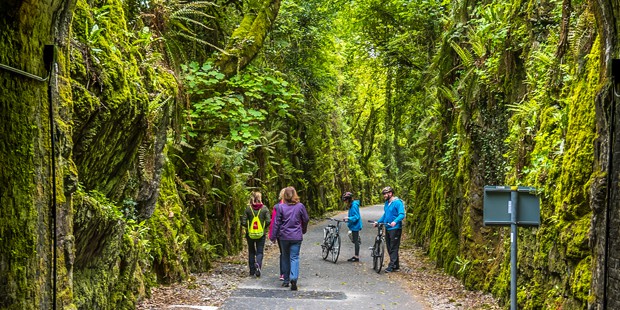 Embark the Waterford Greenway on Foot or Bike