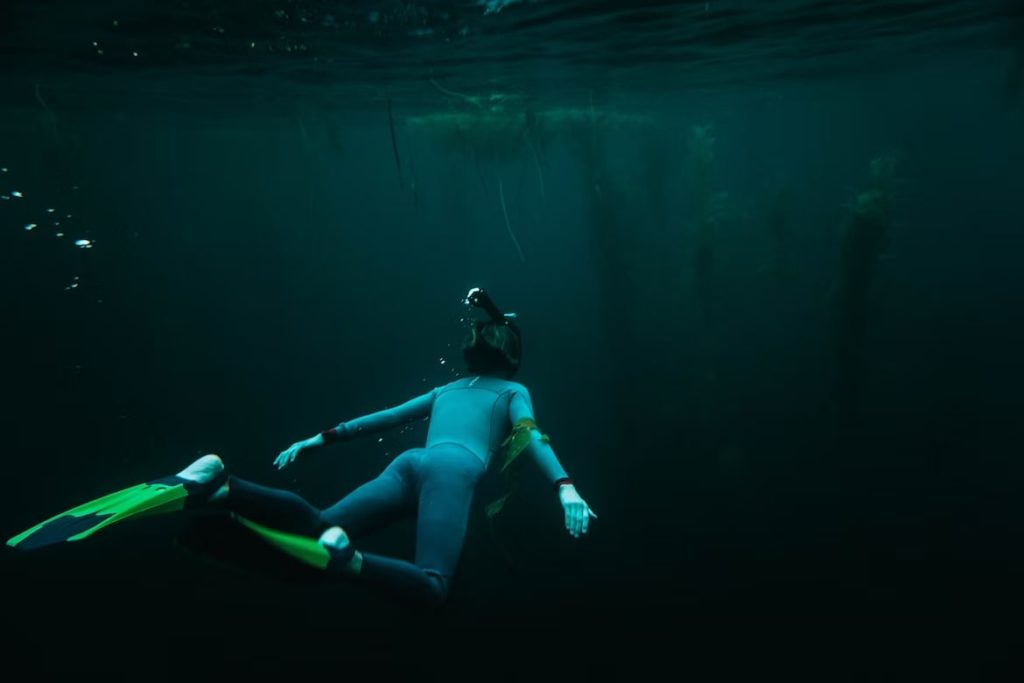 Freediving with Oceans of Discovery