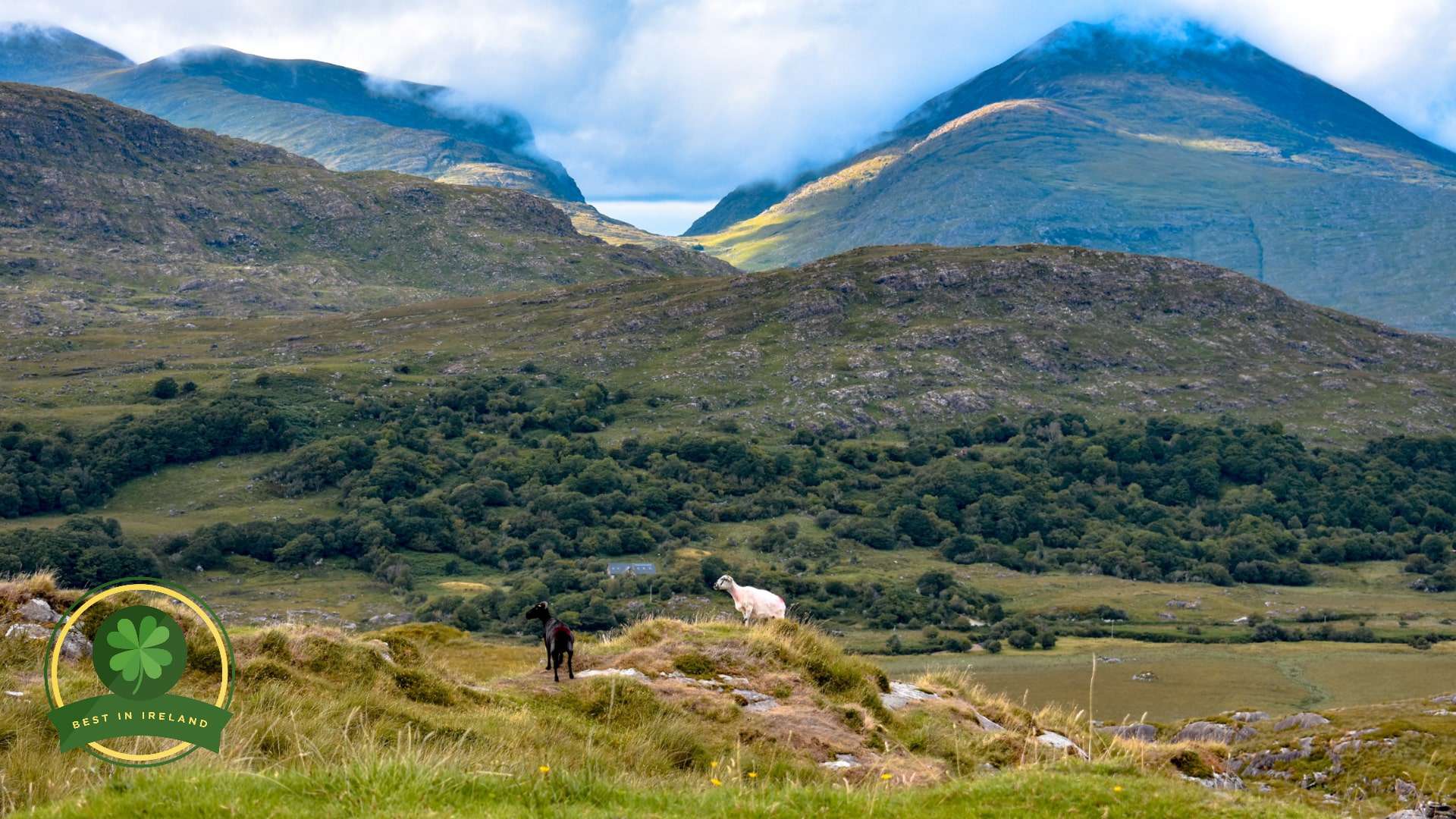 Killarney Adventures Your Essential Planning Guide