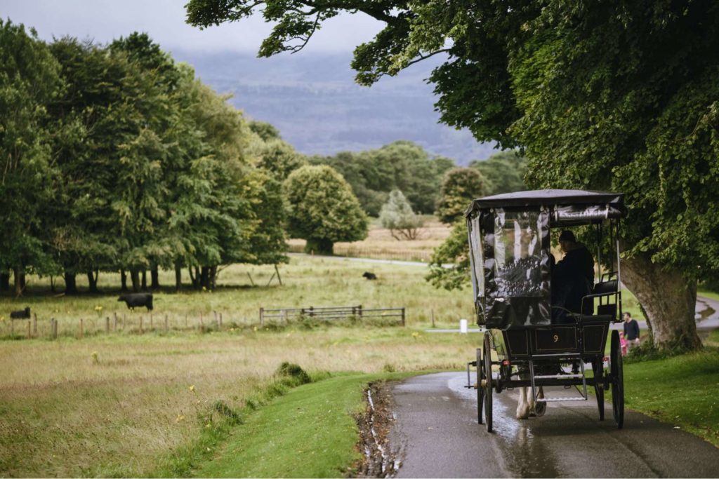 Killarney National Park