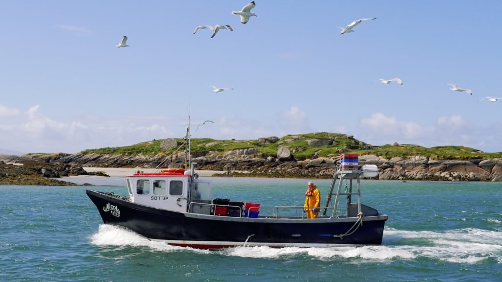 Relax by Fishing in Arranmore’s Serene Waters