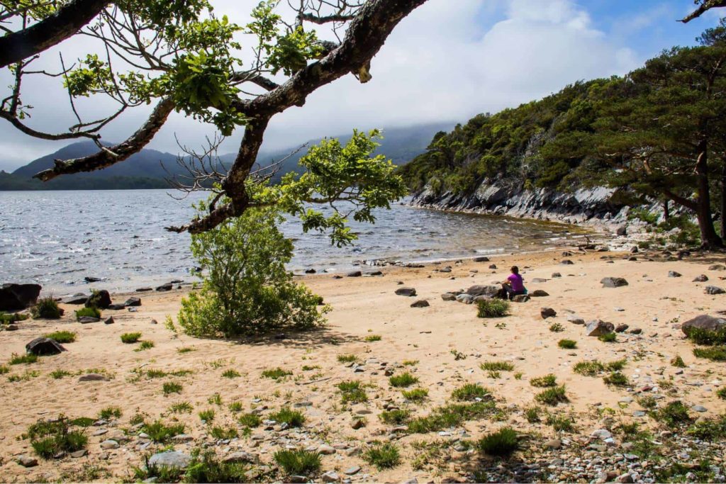 Rosie’s Beach