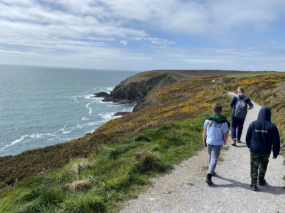 Stroll the Ardmore Cliff Walk
