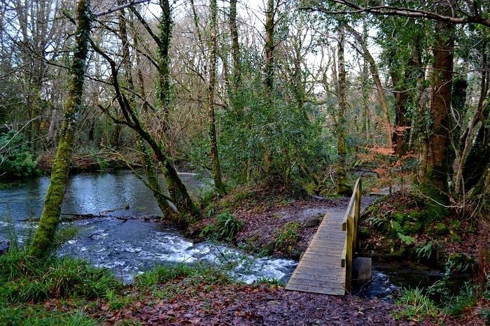 The Blue Pool