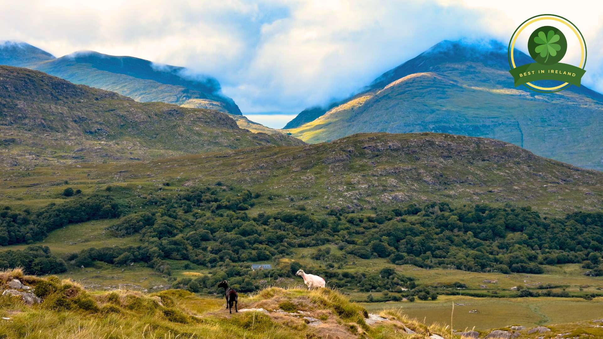 The Majestic Mountains of Killarney Scenic Hikes and Walks