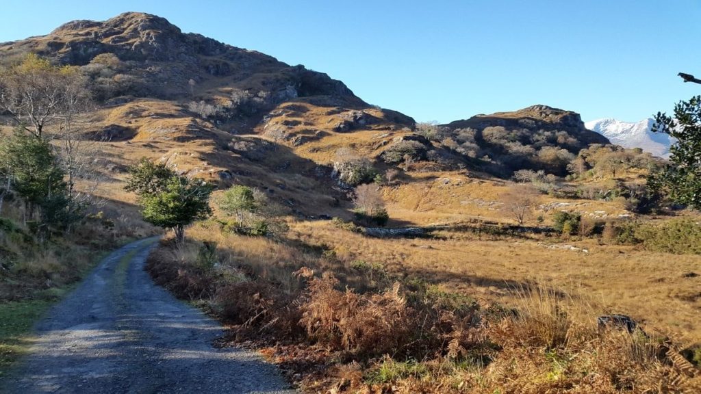 The Old Kenmare Road