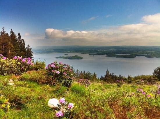 Tomies Wood and Lough Leane Loop