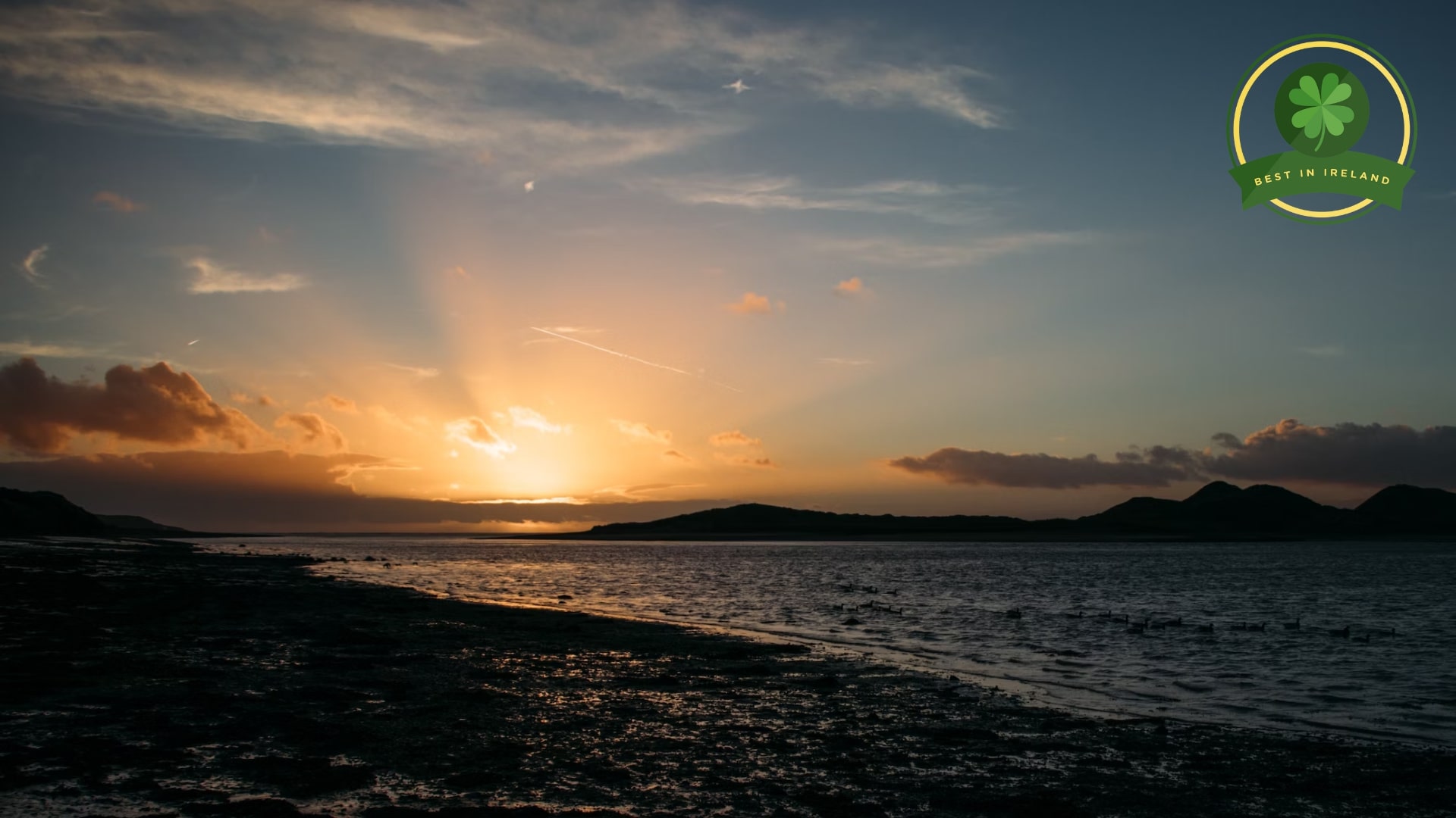 Waterford's Top Serene Beach Spots