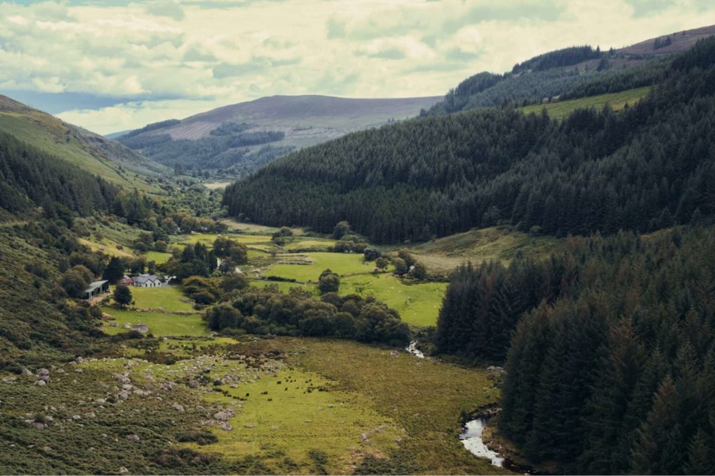 Wicklow Mountains National Park