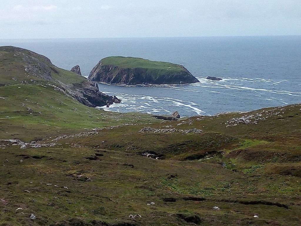 Witness Wildlife at Green Island