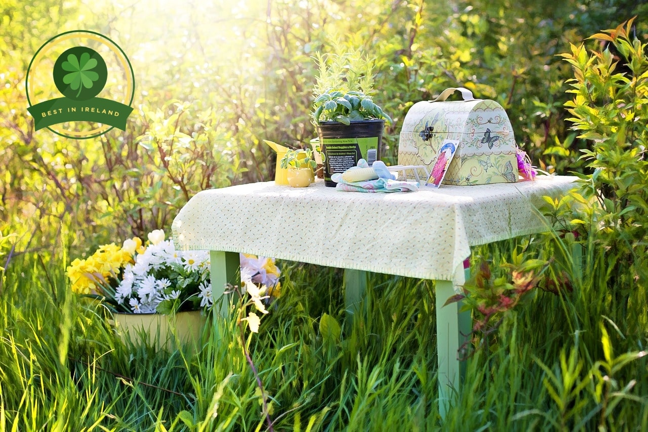 5 Shops for Gardening Products in Ireland