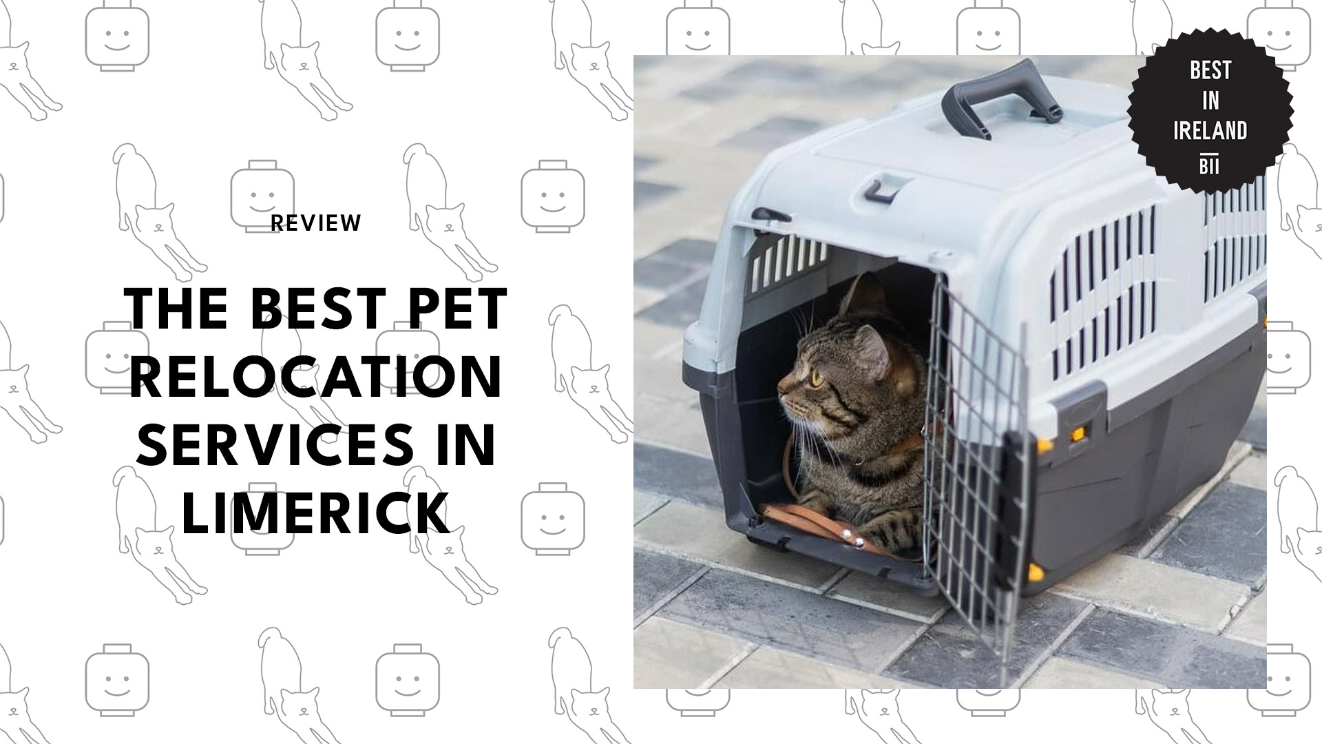best-pet-relocation-limerick