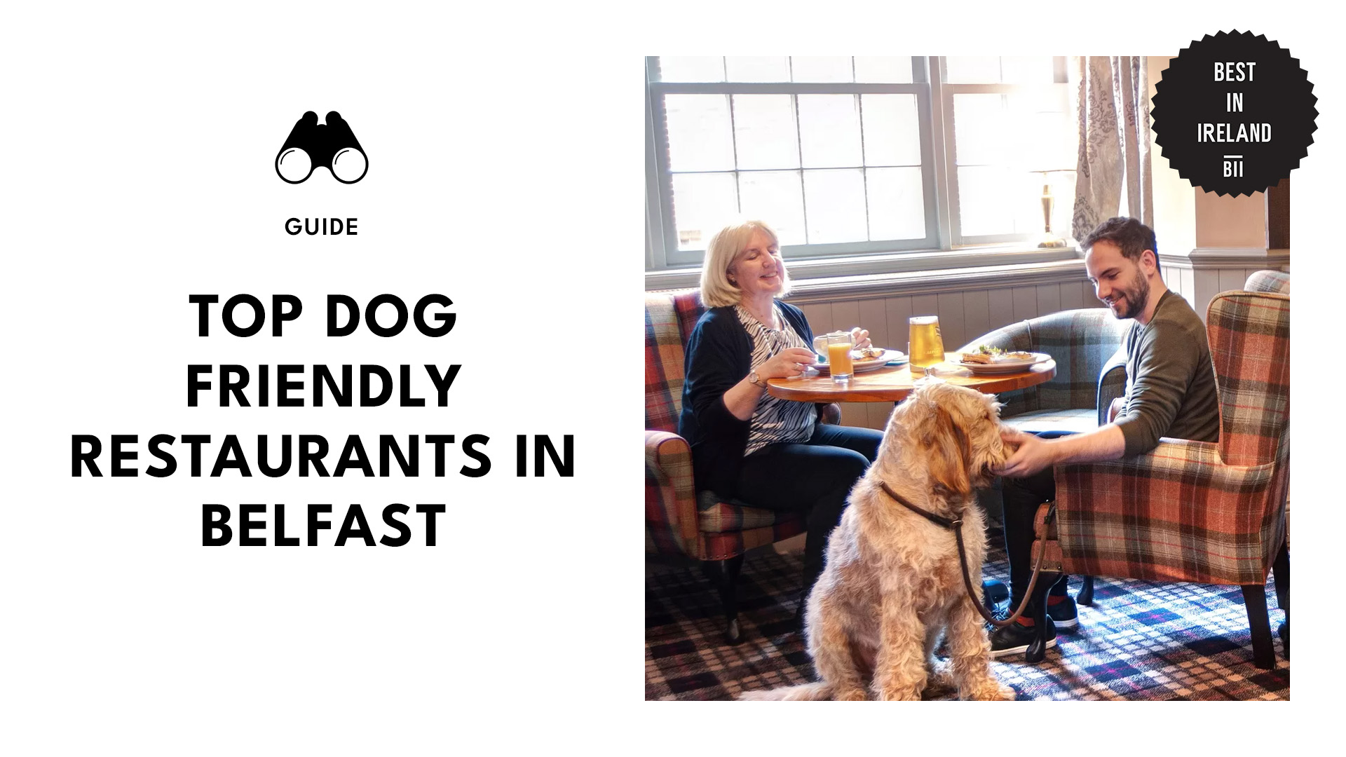 top-dog-friendly-restaurants-belfast