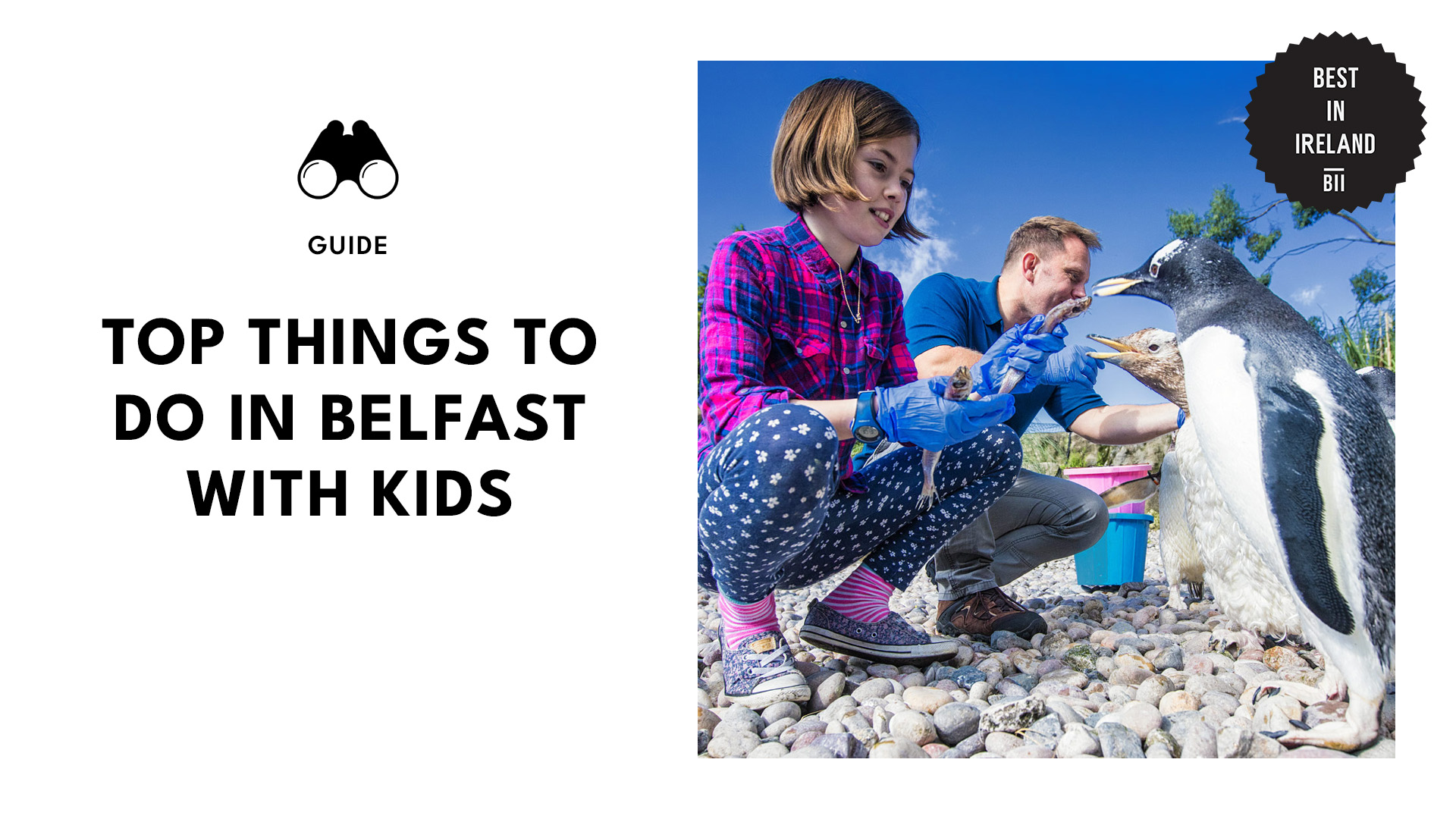 top-things-to-do-with-kids-belfast