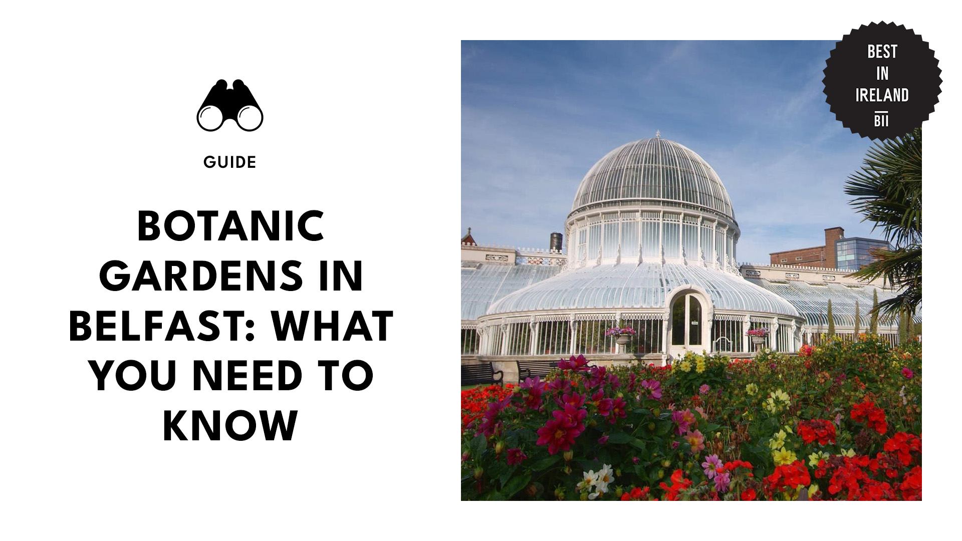 guide-to-botanic-gardens-belfast