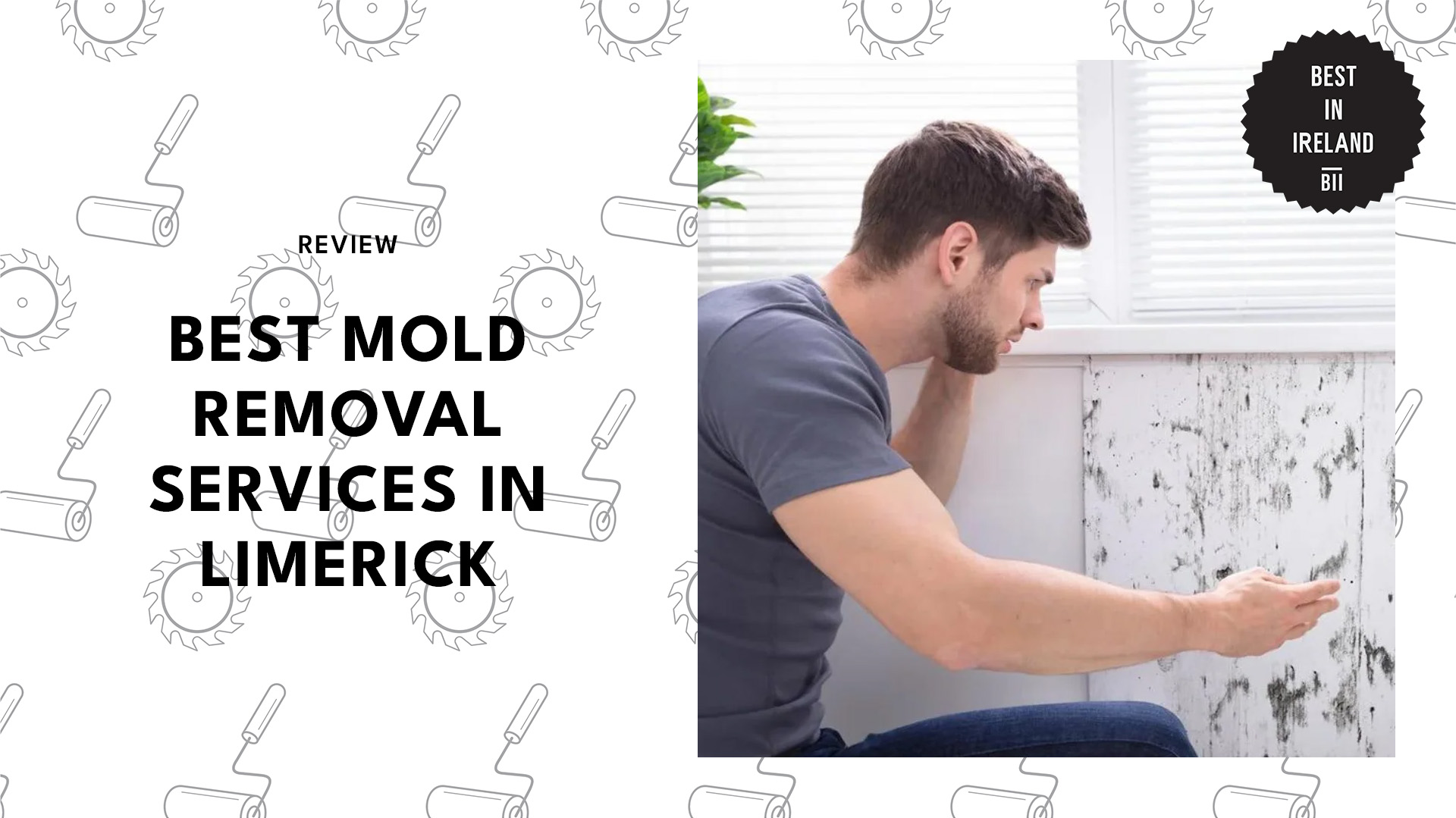 best-mold-removal-limerick