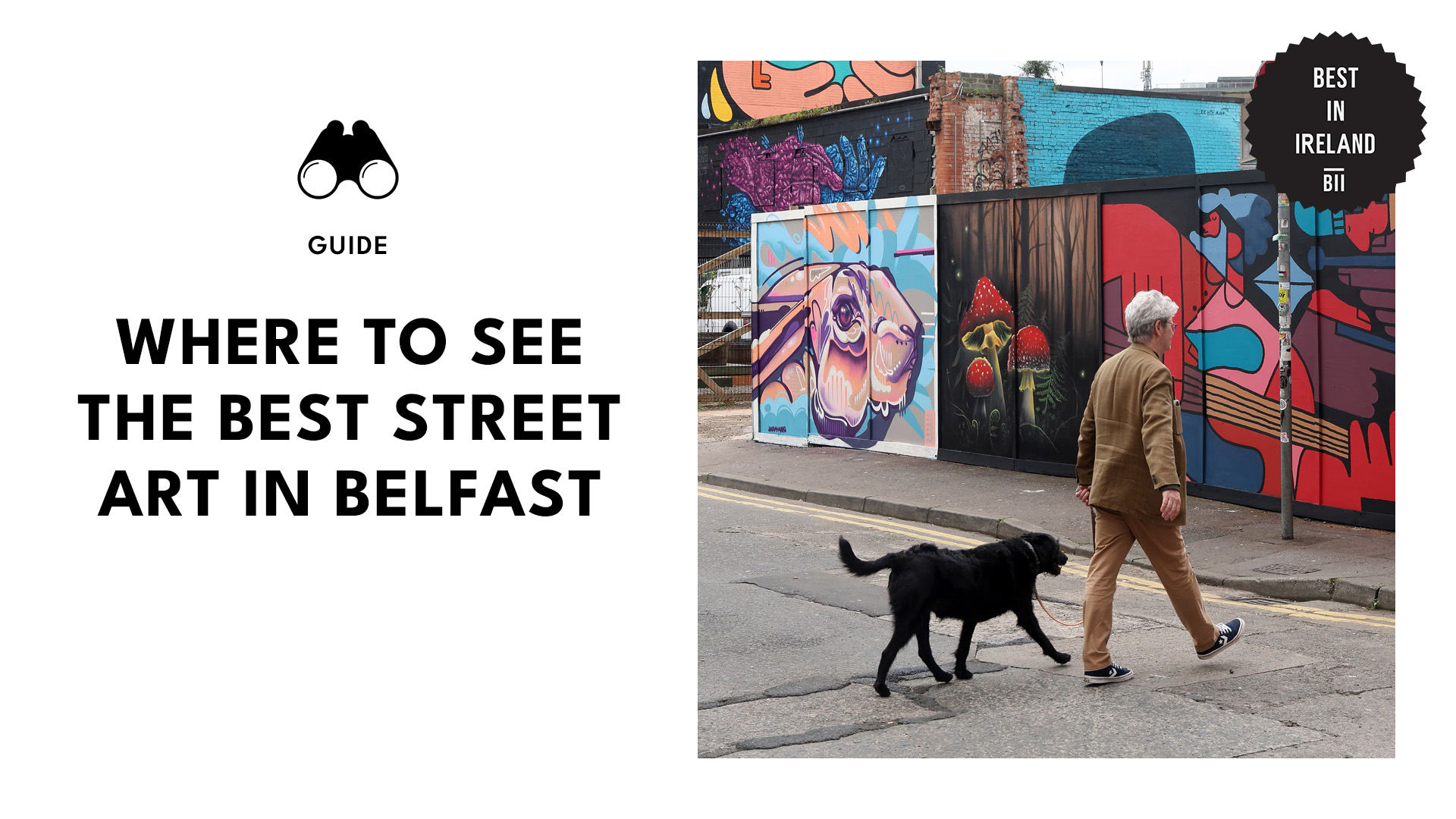 best-street-art-in-belfast