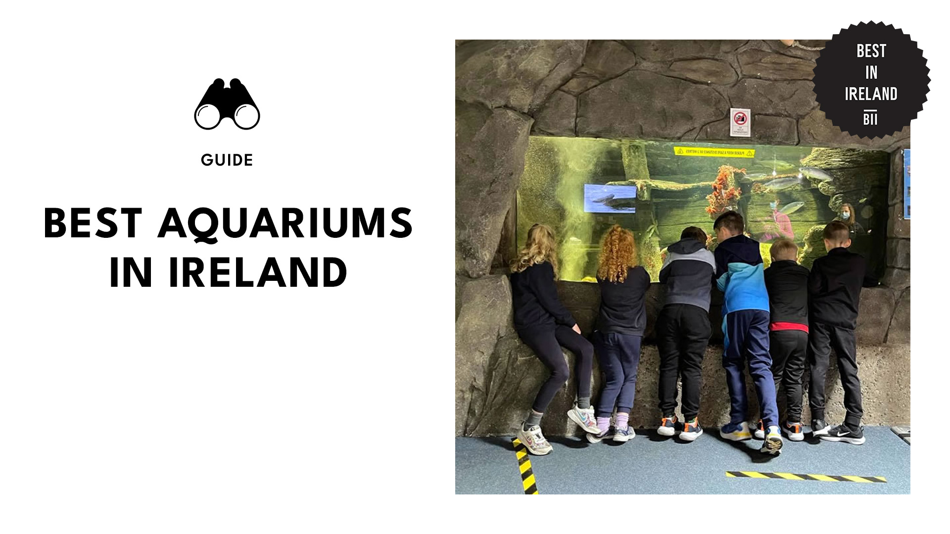 best-aquariums-ireland