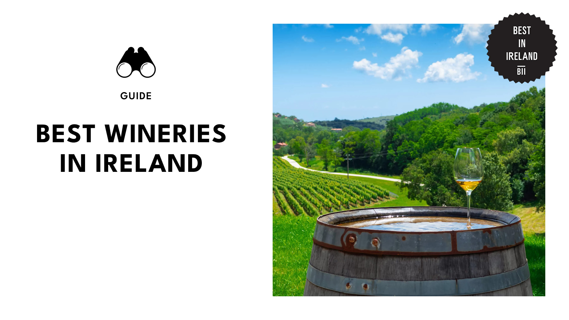 best-wineries-ireland-banner