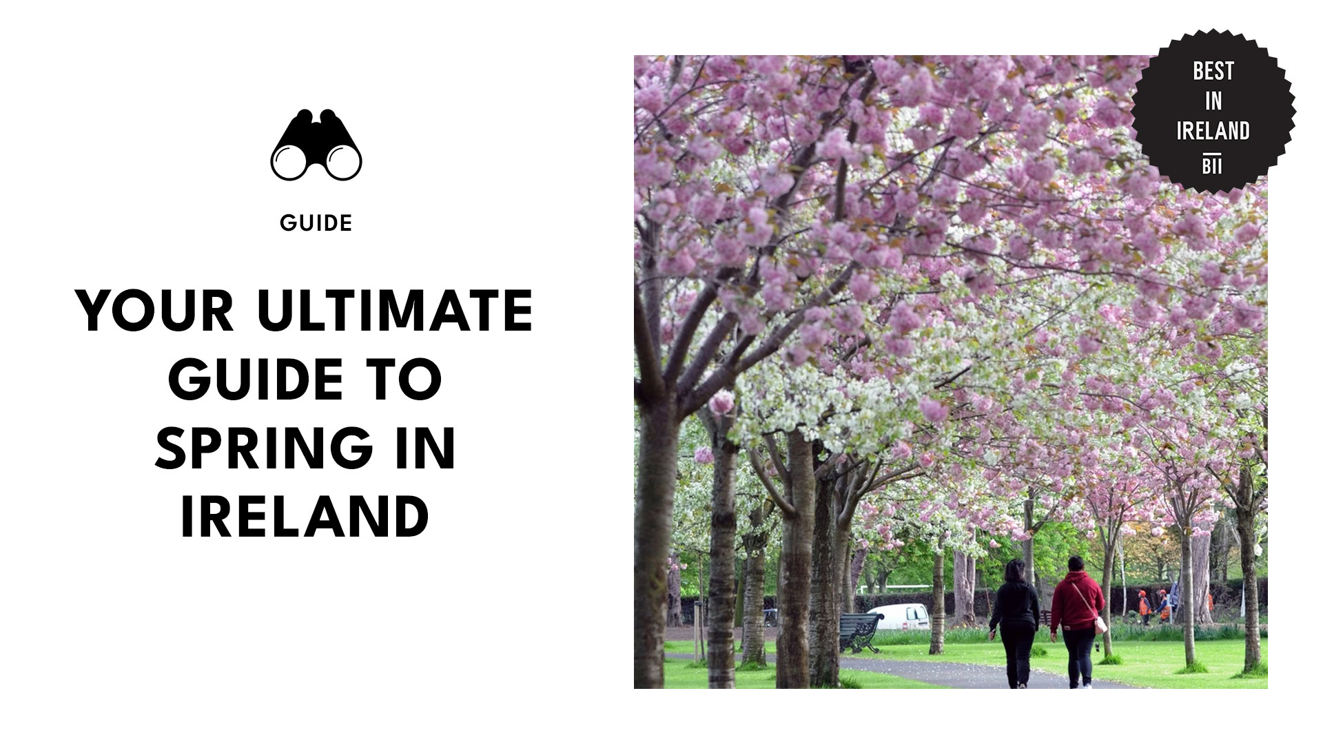 spring-in-ireland-guide-banner