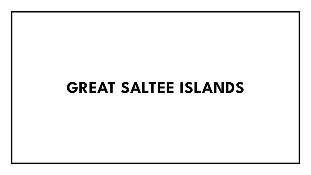 great-saltee-islands