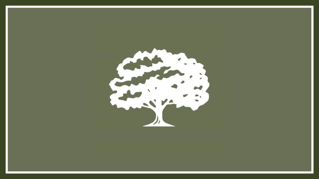 the-woodfield-hotel-clifden-galway-logo